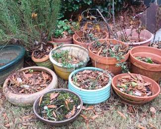 "Home for the Holidays" in Evans, GA. Closing on Tue 11/28 at 6p. Pickup on Wed 11/29 from 3-6p. Please click here to view more photos, descriptions, and current bids: https://ctbids.com/estate-sale/25571