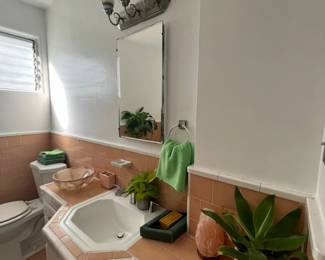 Great Ralph Lauren towels, plants, salt lamps and other bathroom items available