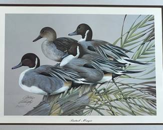Art Lamay Pintail Ducks Original Ltd Ed Print ‘Pintail Magic’