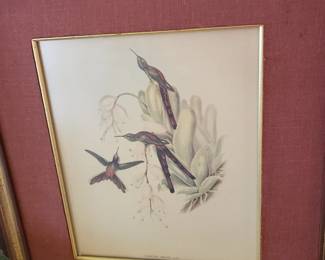 FRAMED BIRD PRINT