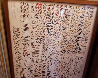 FRAMED BIRDS OF NORTH AMERICA