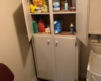 Cabinet and cleaning supplies