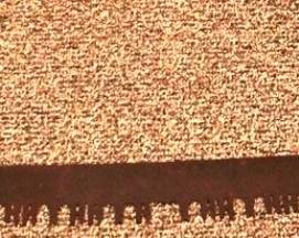 443 - Two Man Saw 69 Inches
