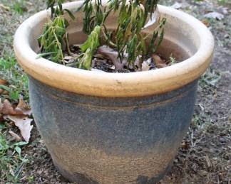 44 - Pottery Planter 9 x 12 inches

