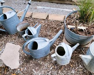 Old galvanized watering cans and buckets 