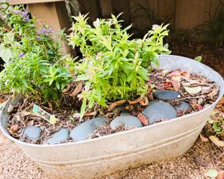 Galvanized Garden Pot