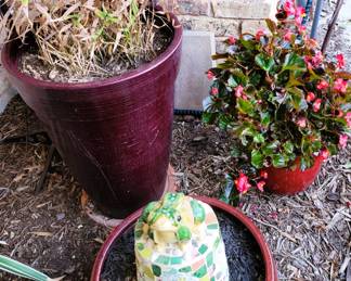 Pots and Plants and Planters