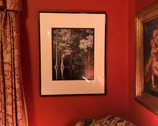 Signed Framed Photograph by 
Robert Constand.
