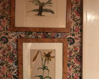 Two  Burled Wood Framed Botanical Prints. 