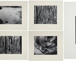 1032
Michael A. Smith (1942-2018)
Seven works:
A group of six landscapes and one portrait of a dog
Each: Gelatin silver print on paper mounted to a board mount
Six signed and variously dated either 1971, 1973, 1974, or 1975 in pencil and on the mount: Michael A. Smith; one appears unsigned
Image/Sheet of six works: 7.625" H x 9.625" W (or reverse); Sight of one work: 9.75" H x 7.75" W
Estimate: $500 - $700