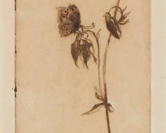 1254
Katherine Cameron
1874-1965
Butterfly On A Blossoming Flower
Etching in brown ink on paper
Signed in pencil in the lower margin, at left: K. Cameron
Plate: 12.25" H x 4" W; Sight: 13" H x 5" W
Estimate: $700 - $900