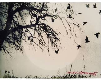 1026
Mario Giacomelli
1925-2000
Untitled, From The "Caroline Branson Of Spoon River," Series, 1968-73
Gelatin silver print on paper
Signed in red ink in the lower right corner of the image: Mario Giacomelli; there is a pale pencil notation at the upper right corner, verso: #4556
Image/Sheet: 4" H x 5.875" W
Estimate: $700 - $900