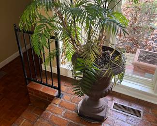 Pair of cast iron urns