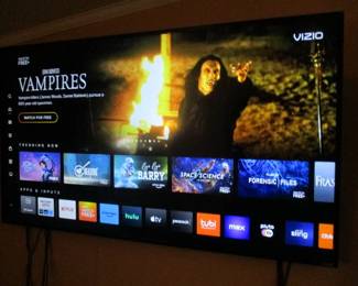 65 in. Vizio Flat Screen TV