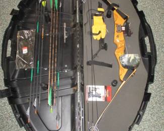 Browning Compound Bow