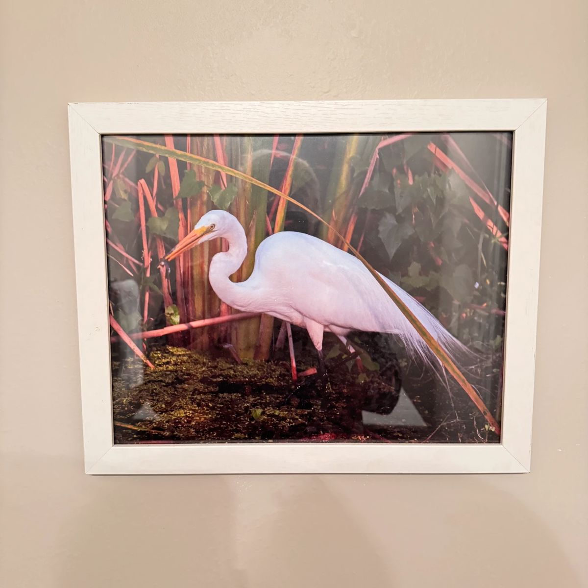 Woods & Irons (Hurricane) Virtual Estate Sale starts on 12/10/2023