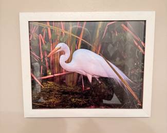 Framed print of an egret 10" x 12"