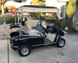 42 volt western golf cart