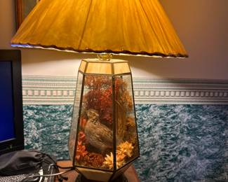 MCM Dove/Bobwhite Taxidermy Lamp