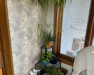 Plants and plant stand