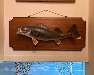 Walleye mount. 