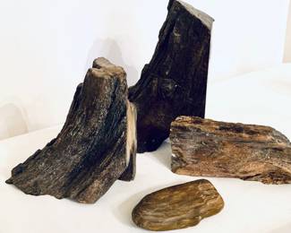 PETRIFIED WOOD
