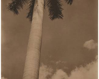 9
Edward Weston
1886-1958
"Palma Cuernavaca, Mexico," 1924
Palladium print on paper hinged to a thin board mount
Signed and dated in pencil on the mount, at right: Edward Weston
Image/Sheet: 9.5" H x 7.5" W; Mount: 17" H x 13" W
Estimate: $100,000 - $200,000