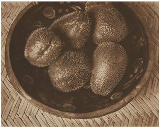 11
Edward Weston
1886-1958
"Chayotes," 1924
Palladium print on paper hinged to a thin board mount
Signed, titled, dated, and inscribed in pencil at the lower edge of the mount: Edward Weston / Mexico; with a notation in pencil at the upper left corner of the mount, verso: 35
Image/Sheet: 7.5" H x 9.625" W; Mount: 18" H x 14" W
Estimate: $50,000 - $70,000