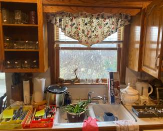 silverware, whiskey glasses, crock pot, Cuisinart drink mixer, knives and more (aloe plant)