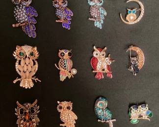 CCS205 Twelve Owl Costume Jewelry Brooches