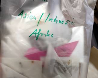 Butterfly collection.