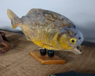 Taxidermy piranha