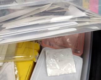 Butterfly collection.