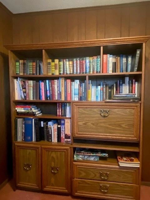 Bookcase books