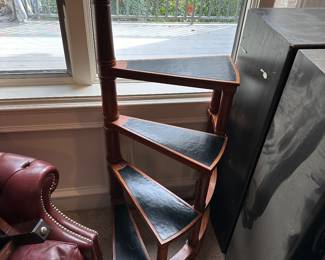 Library Ladder