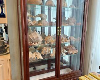 Vintage Rosewood Display Cabinet