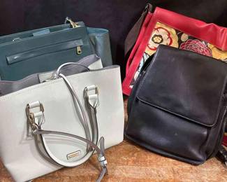 4 Handbags Tiganello Zac Ephron ALdo Diane Macrae