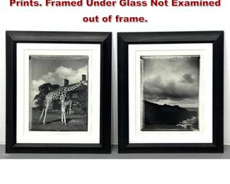 Lot 809 2pcs DIEGO UCHITEL Photograph Prints. Framed Under Glass Not Examined out of frame. 