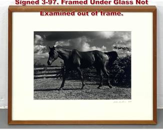 Lot 751 Signed Photograph Print of Horse. Signed 397. Framed Under Glass Not Examined out of frame. 