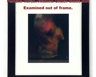 Lot 753 DIEGO UCHITEL Photograph Print. Female Torso. Framed Under Glass Not Examined out of frame. 