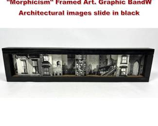 Lot 813 Signed JAY PALELOTZ 2010 Morphicism Framed Art. Graphic BandW Architectural images slide in black 