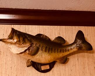 Large Mouth Bass Mount