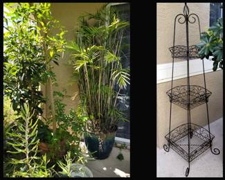 Tall Potted Plants and Tall Fancy Metal Plant Stand