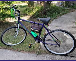 Roadmaster Hurricane Ridge Bicycle 