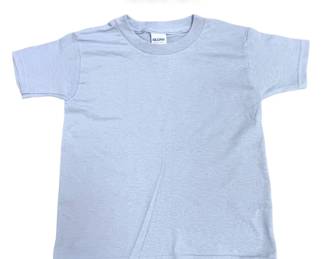 FIVE 2T Gildan Heavy Cotton TShirt