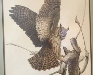 Ray Harm prints, owls are beautiful!