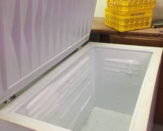 Large Kelvinator freezer that works great!  