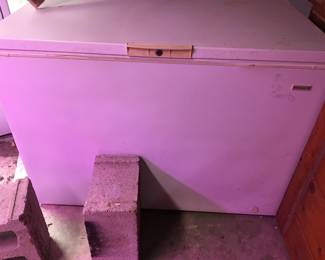 Another view of the Kelvinator freezer...wonderful buy!