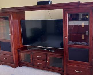 Winner Only Entertainment Unit, TV