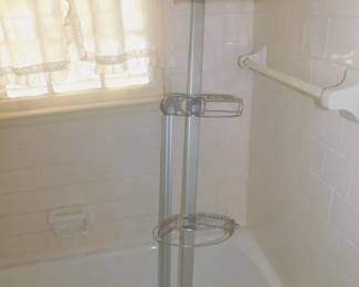 Shower Stand